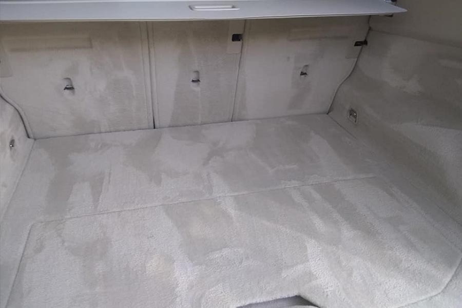 Carpet Cleaning